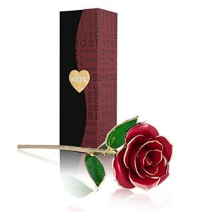 Rosa 24K , Rosa Eterna Flores Chapadas en Oro con Caja de Regalo para el Día de San Valentín Día de la Madre Navidad Cumpleaños Dorado-Rojo